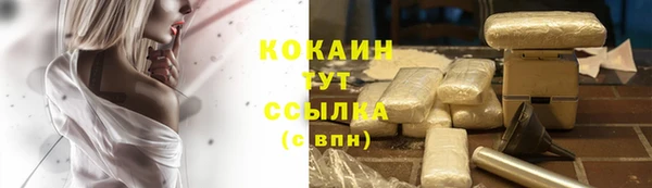 твердый Армянск